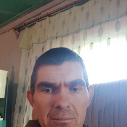, 37, 
