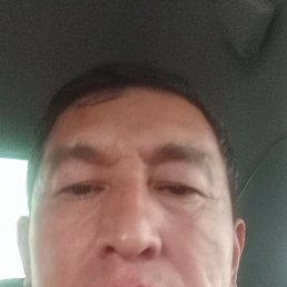 , 50, 