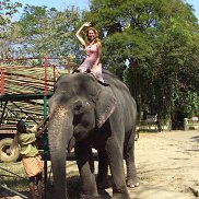 �����, 65 ���, ����