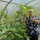 ���� ����, ������, 66 ��� - ��������� 30 ������� 2024 � ������ ���� ����������