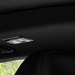 David, ������, 38 ���