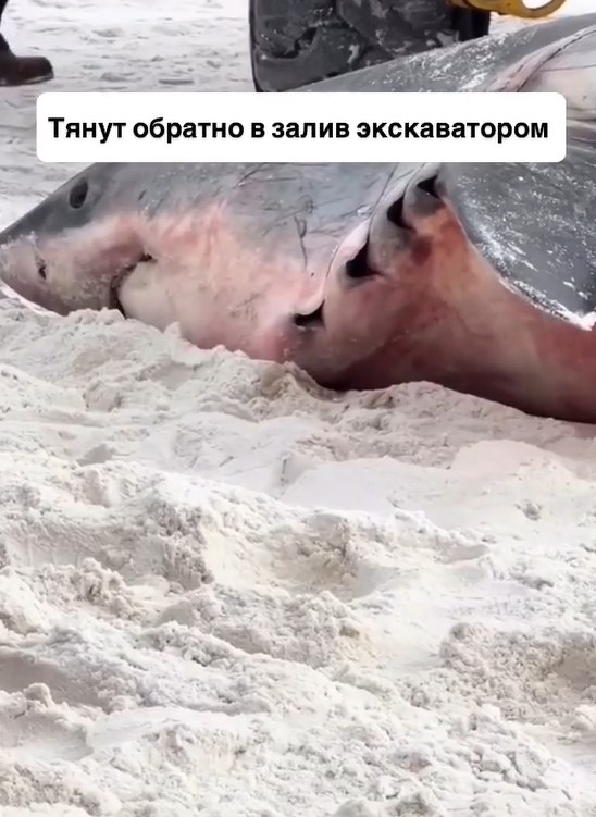   :        .    ...
