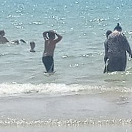 �������, ������, 49 ���