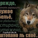 ���� ������, ������, 39 ��� - ��������� 25 ������� 2026 � ������ ���� ����������