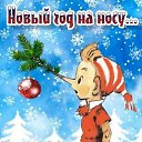 ���� ����, ������ - ��������� 30 ������� 2024 � ������ ������ ��������