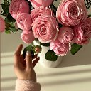 ���� ������, ���������, 52 ���� - ��������� 27 ����� 2026 � ������ ���� ����������