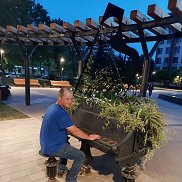 , 36 , 