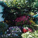 ���� �����, ������, 66 ��� - ��������� 23 ������ 2024 � ������ ��������