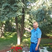 �������, 47 ���, ������