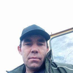 , 40, 