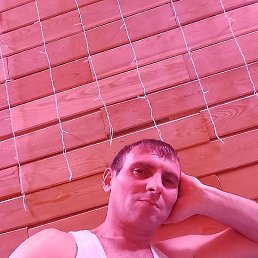 �����, ������, 39 ���