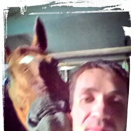 ���� ������, �����, 44 ���� - ��������� 4 ������� 2025