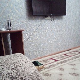 ����, ���������, 48 ���