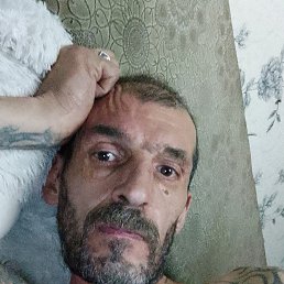  , 51 , 