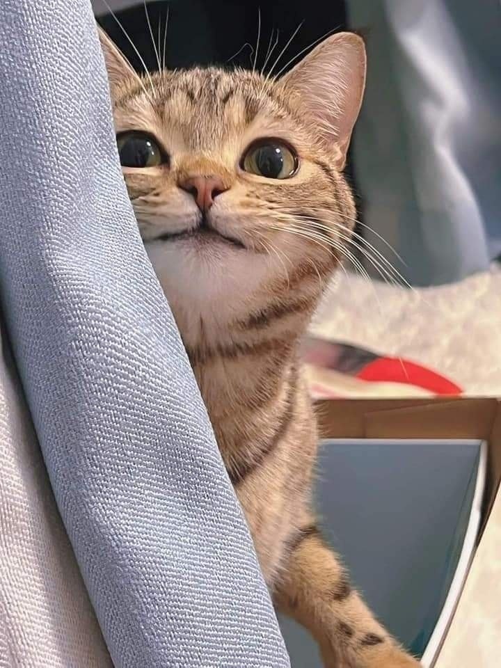 -    ! -      ,  ,  !