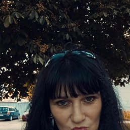 ���� Semsetin, ������, 61 ��� - ��������� 14 ���� 2026