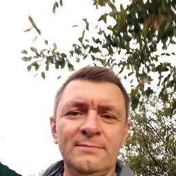 , 54, 