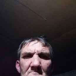 , 55 , 