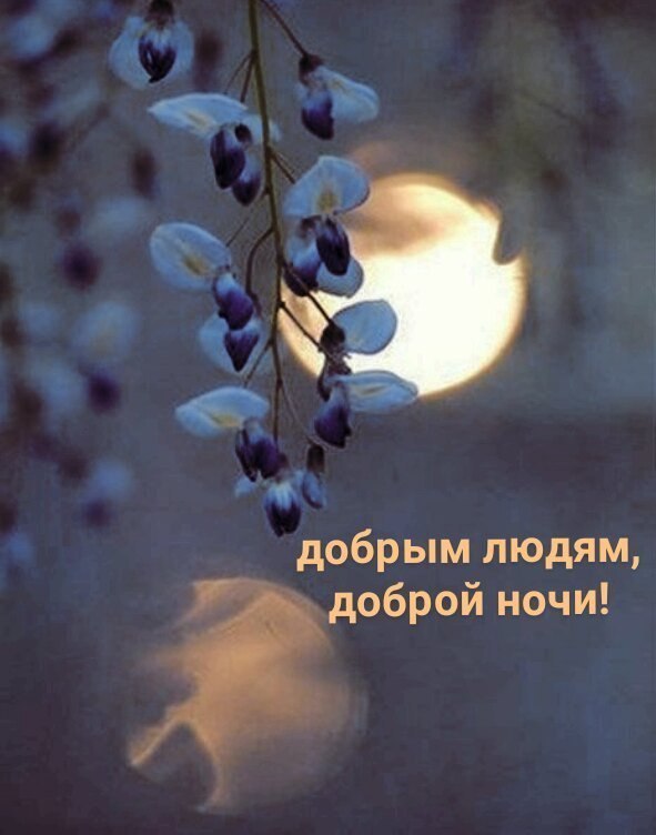   - 17  2025  00:40