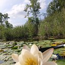 ���� �������, ������� ��������, 40 ��� - ��������� 3 ������� 2026