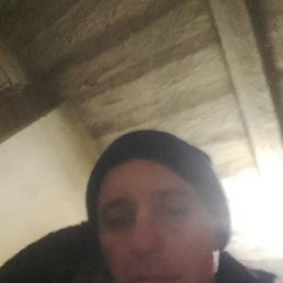 �������, ���������, 41 ���