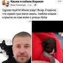 ���� ����, �������, 42 ���� - ��������� 11 ������� 2025