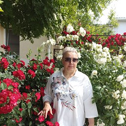, 56, 