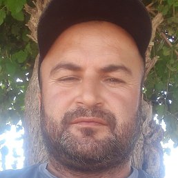 �����, �������, 39 ���