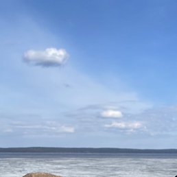 Tarasenko-a35, , 21 