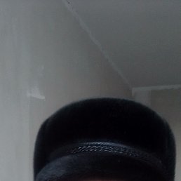  , 49, 