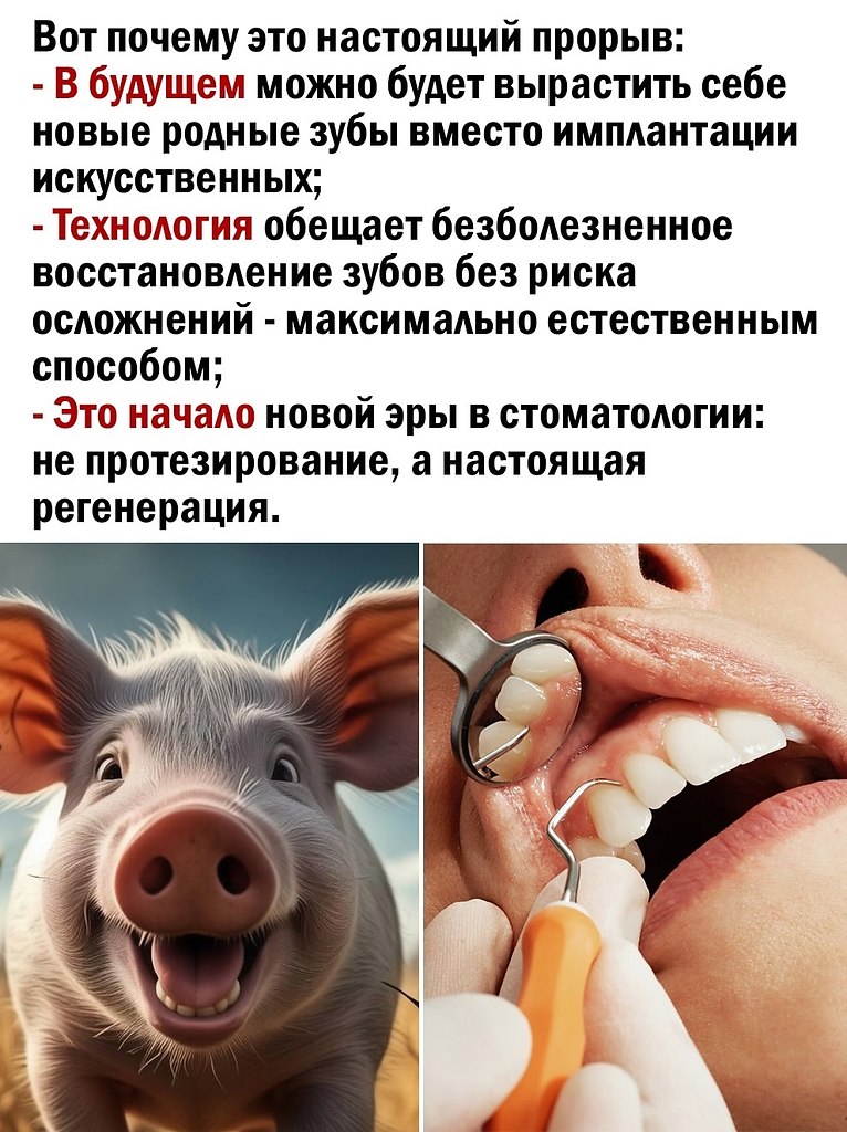  - 2  2025  20:12 - 3