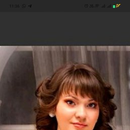 , 53, 