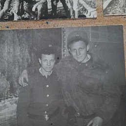 ���� ������, ���������, 53 ���� - ��������� 2 ����� 2026