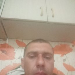 , 37, 