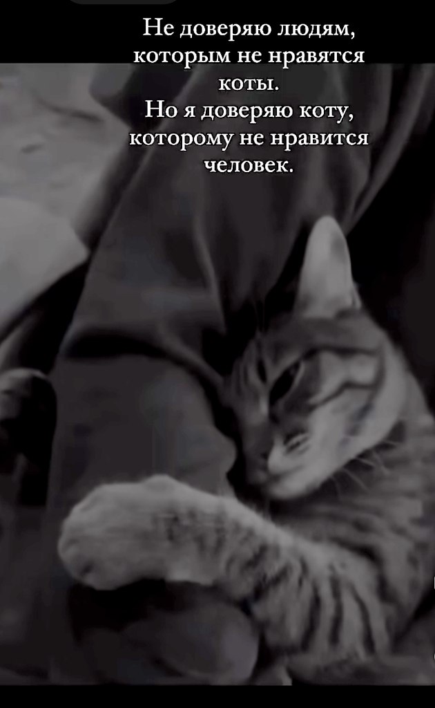   - 21  2025  23:19