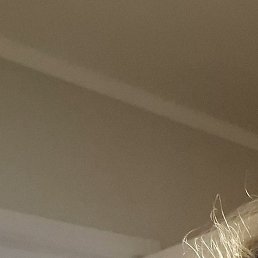 ������, ���������, 19 ���