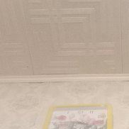 �������, 37 ���, ������