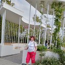 ���� �������, ������������, 67 ��� - ��������� 10 ������� 2024 � ������ ���� ����������