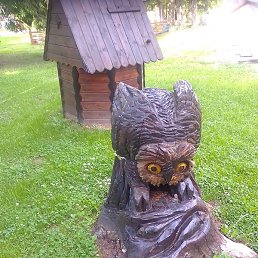 ��������, ������, 49 ���