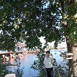 �����, �����-���������, 48 ���