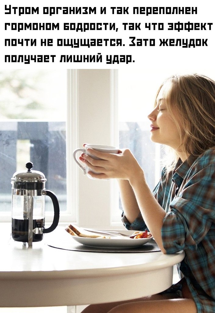        -   .      ... - 2