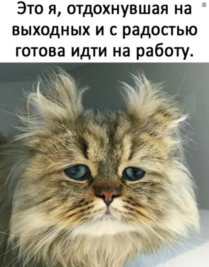   - 3  2024  19:17
