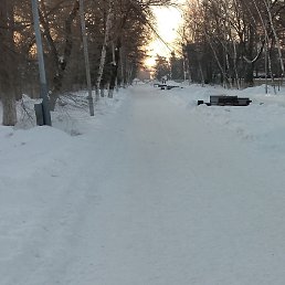 ���� ��������, �����-���������, 44 ���� - ��������� 20 ������ 2024