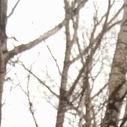 ������, 37 ���, ������