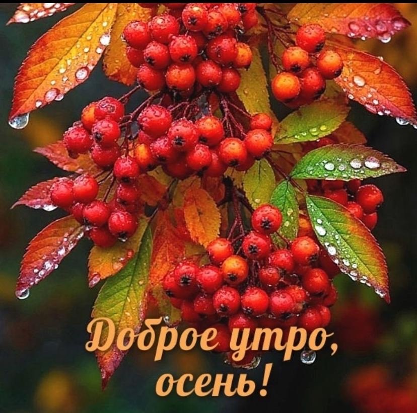   ,    . - 18  2025  21:39