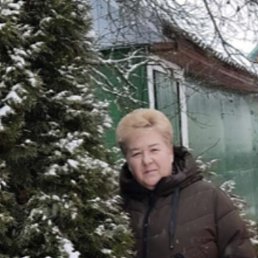 , 61, 
