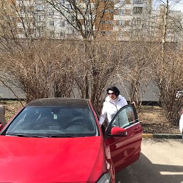 , 65, 