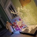 ���� ����, ���������, 69 ��� - ��������� 10 ������ 2026 � ������ ���� ����������