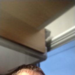Roman, 41 , 