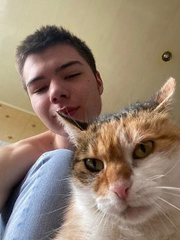 �����������